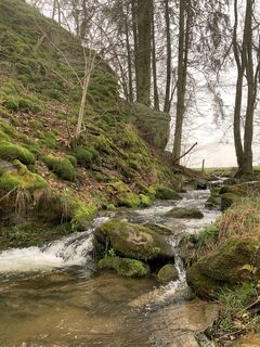 Photo from vieletausendkilometer along the tour