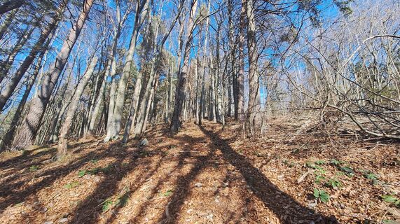 Photo de Regina Fleischmann le long du parcours