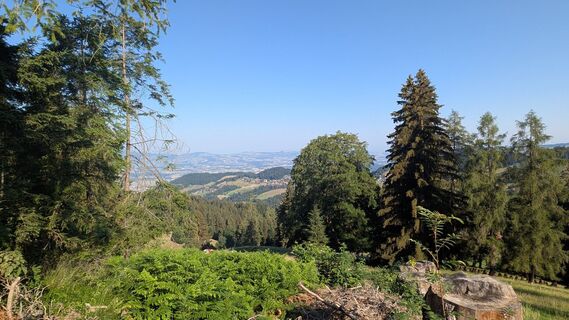 Foto von Andreas Rufer entlang der Tour