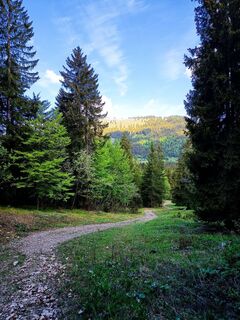 Foto von Bettina Miller 1 entlang der Tour