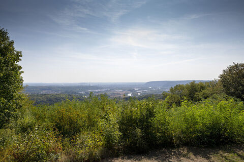 Naturschutzgebiet Wolferskopf