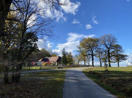 Fotografia z Thomas Handlir na trase