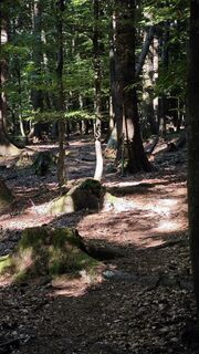 Foto von stephan heimel 1 entlang der Tour