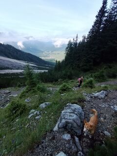 Foto von Markus Kern entlang der Tour
