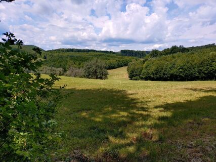 Foto von Roman entlang der Tour