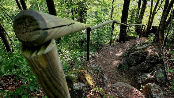 Photo de Danijel Sorola le long du parcours