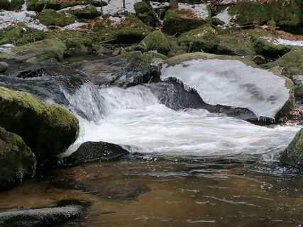Foto von Wanderfux entlang der Tour