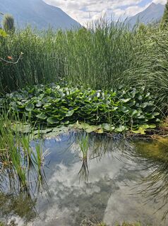 Fotografie z Ulrike Drexler na trase