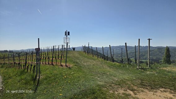 Foto de Maria Sakelschegg a lo largo del recorrido