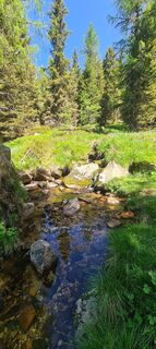 Foto von Laura Gasparotto entlang der Tour