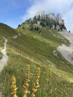 Fotografia z Michael Erkelenz na trase