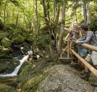 Ysperklamm
