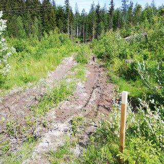 Monnonlahden Pfad