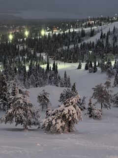 Zdjęcie z Snowboard-BS wzdłuż trasy