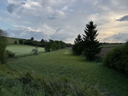 Photo de Schaali le long du parcours