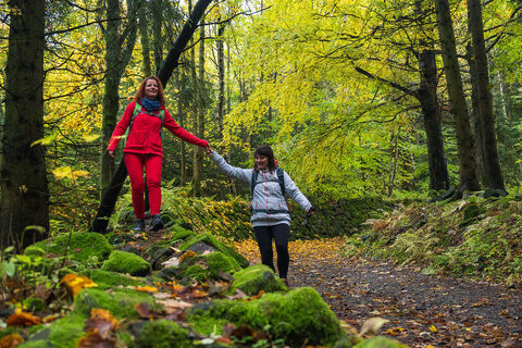 entlang der alten Bobbahn