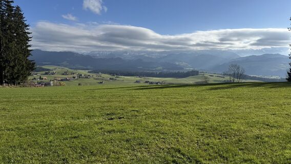 Fotografia z peter_oe na trase