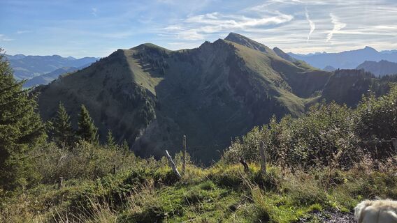 Fotografia z V Feurstein na trase