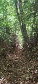 Photo de Rupert Binder le long du parcours