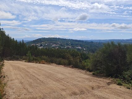 Foto de Michi Steiert a lo largo del recorrido