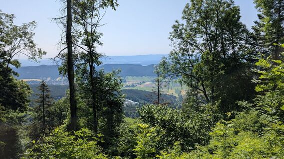 Foto de Martin Temm a lo largo del recorrido