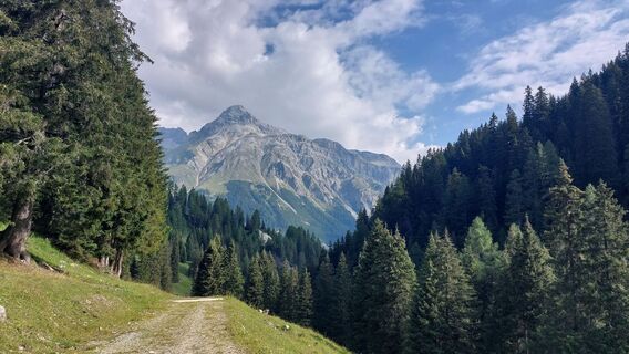 Foto von Marlene Benz entlang der Tour