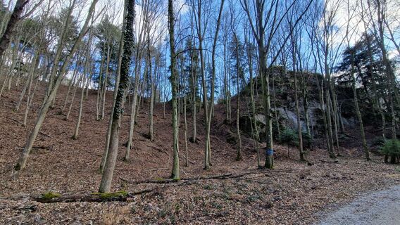 Zdjęcie z EP87 wzdłuż trasy