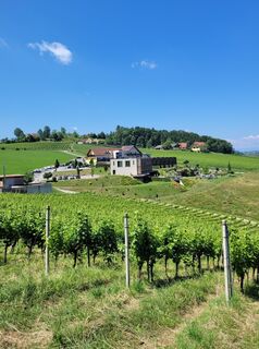 Fotografia z Franz Bauer 9 na trase