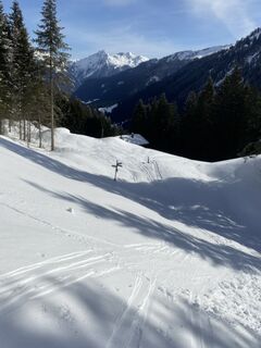 Fotografija s spletne strani Yvonne Pal na poti