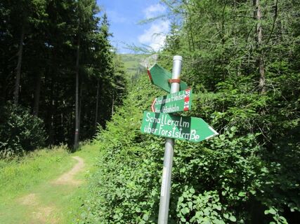 Zur Schalleralm