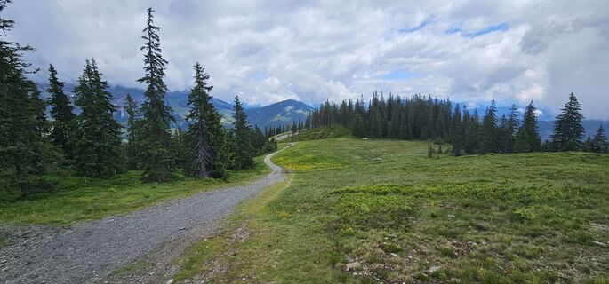 Fotografie z Michael Ganswind na trase