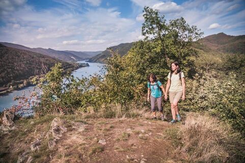 Auf dem Weg zum Aussichtsplatz am Luftberg in Aggsbach Dorf