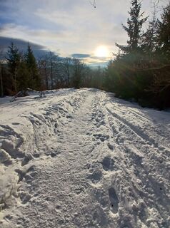 Fotografia z Daniel Kremiec na trase
