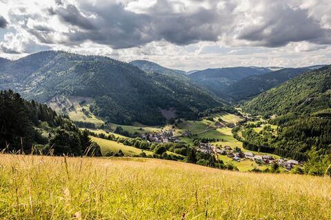 Blick auf´s Prägtal