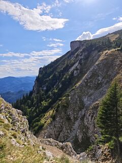 Fotografija s spletne strani Viktoria Ellinger na poti