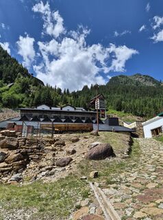 Fotografija s spletne strani aliceortler na poti