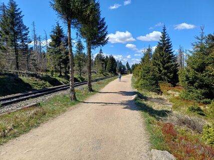 Foto från Ingo VT under resans gång