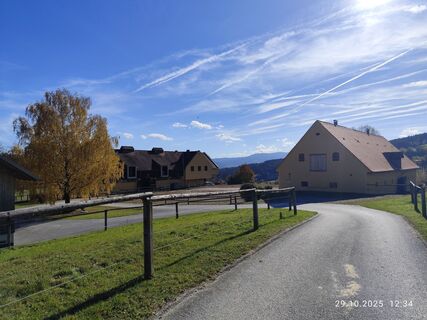 Foto från Barbara Galle under resans gång