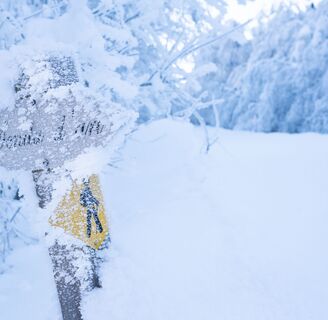Wegweiser im Frost