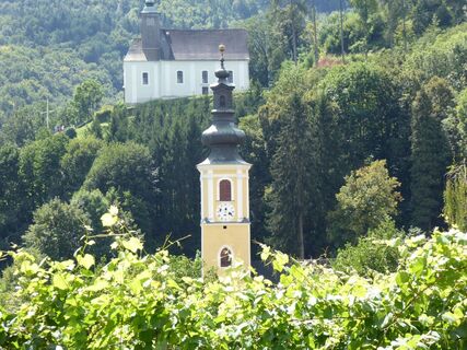Pfarrkirche und Josefikirche