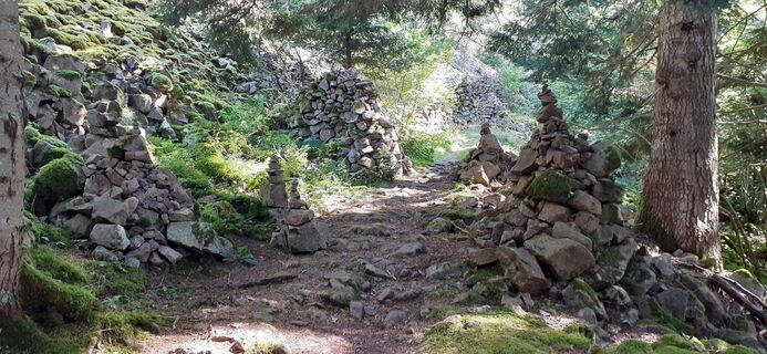 Фото с сайта Bernard Piat во время экскурсии