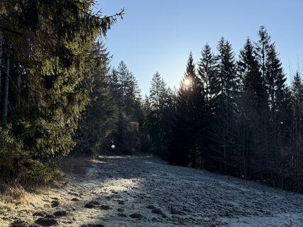 Foto von Norbert Herbig entlang der Tour