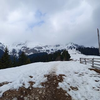Fotografija s spletne strani Sanel Mehurovic na poti