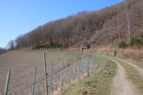 Zdjęcie z Günter Kleutsch wzdłuż trasy