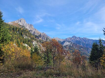 Fotografia z schenkeli na trase