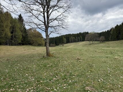 Fotografija s spletne strani Herwig Winkler na poti