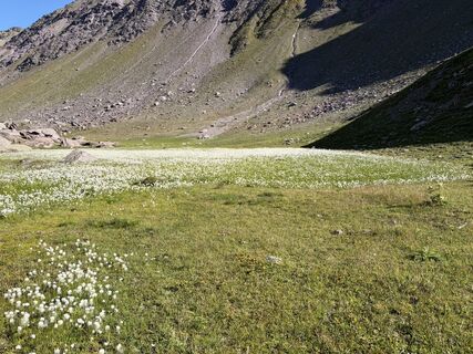 Photo de Nikki Baer le long du parcours