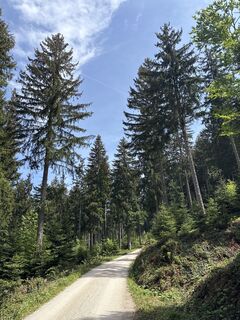 Foto von Heinz Sperl entlang der Tour