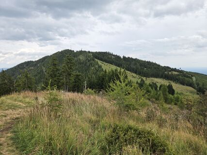 Foto von Timon Bertignoll entlang der Tour