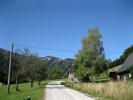 Hinternaßwald - Grenzriegel - Amaißbichl
